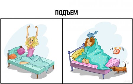 1466601403_1.jpg