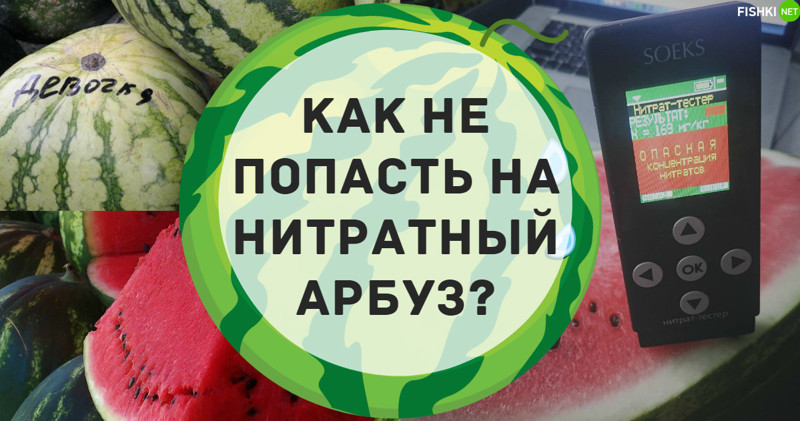 1f9a2f65d31885915e9e2eaaefa36d24.jpg
